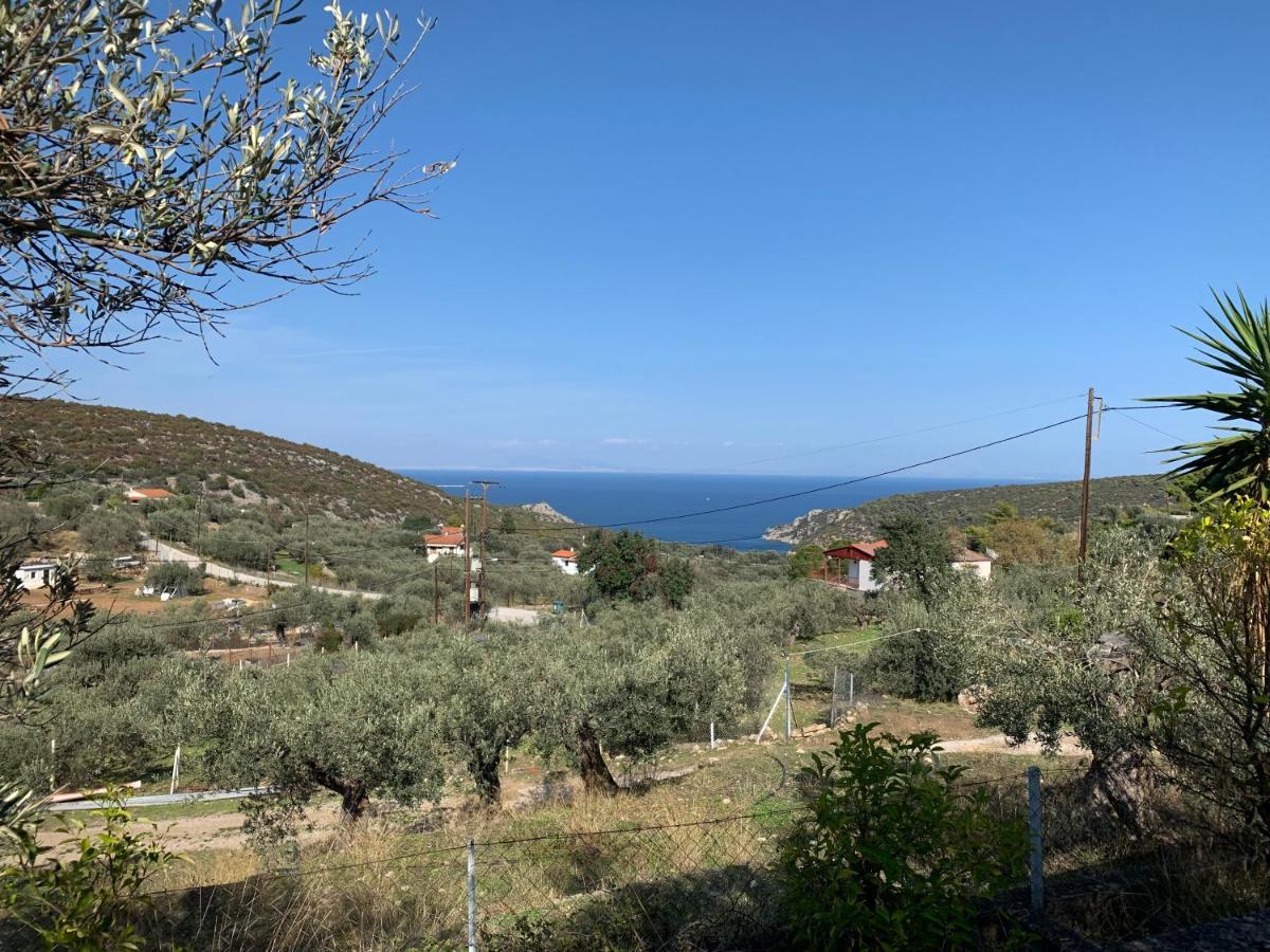 Olive Hill Private House Villa Poros Town Exterior photo